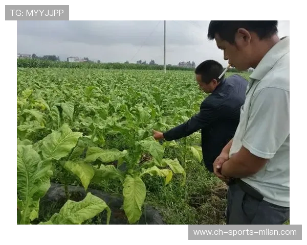 CS2队伍加入执行训练，烟闪配合更为成熟
