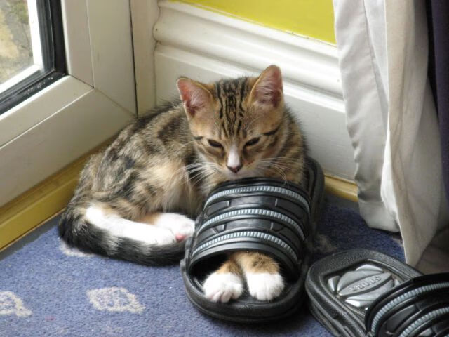 体育场馆智能安全系统,体育场馆智慧化