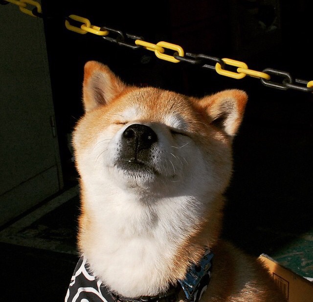 全国青少年长距离跑挑战赛在成都盛大开启，长距离跑基本竞赛规则