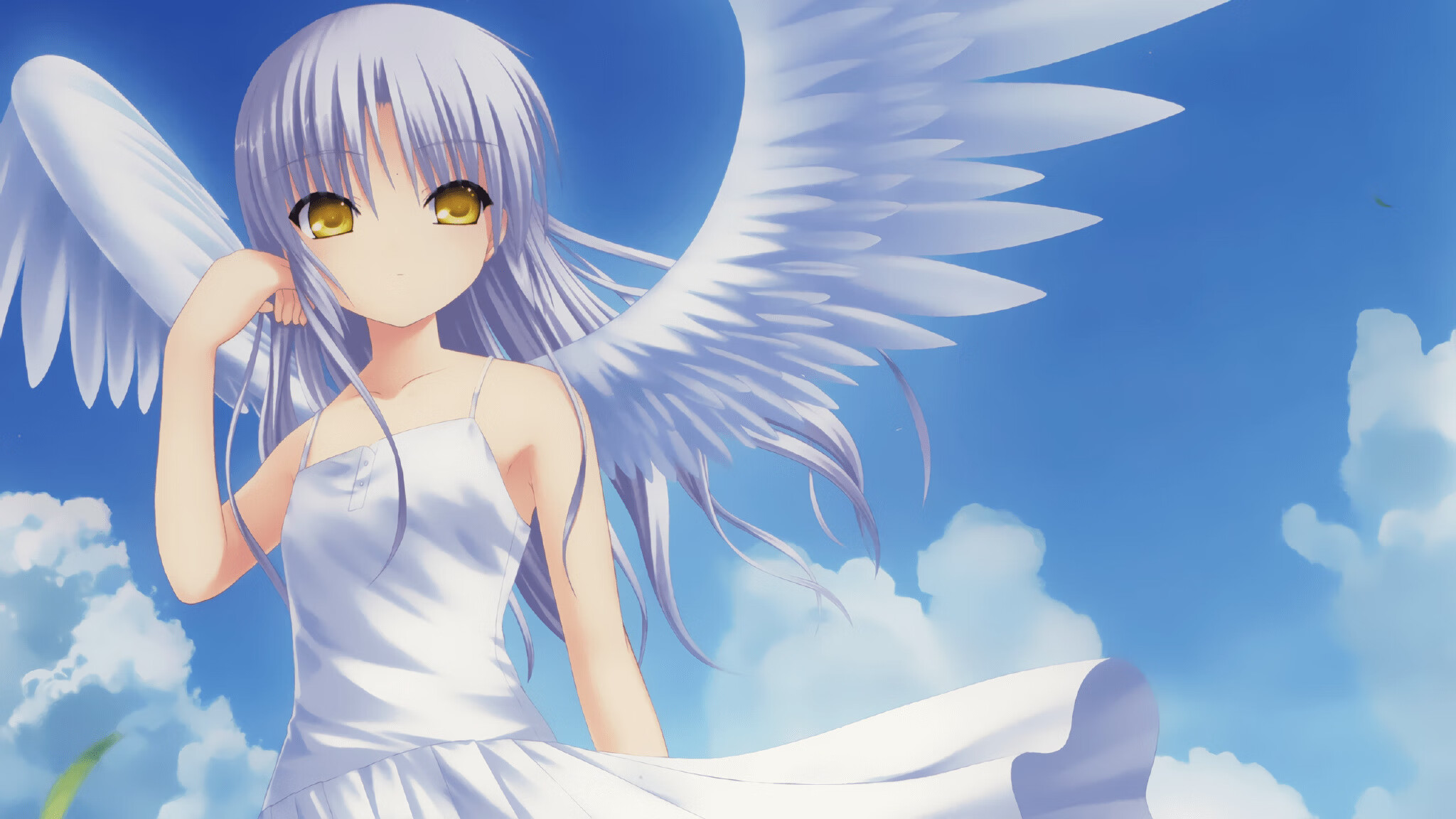 全国青少年长距离跑挑战赛在成都盛大开启，长距离跑基本竞赛规则