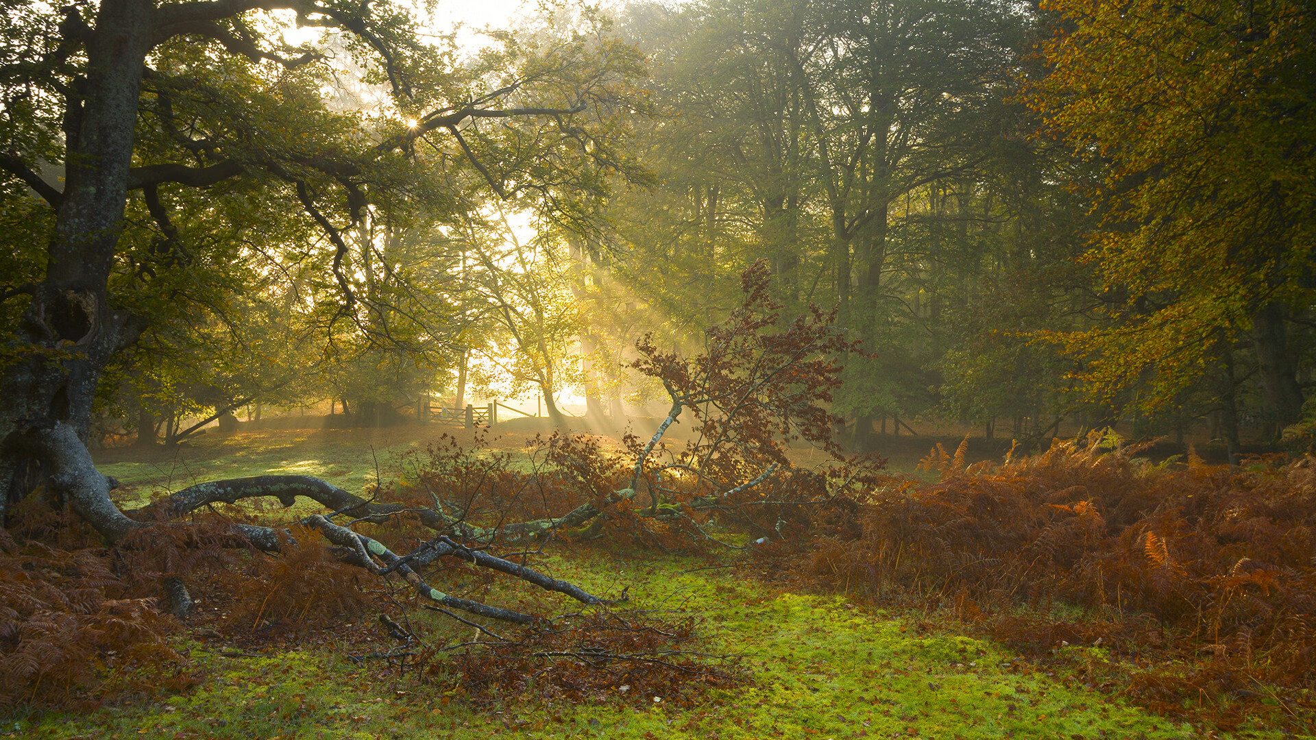 MILANSPORT入口-中立B男选手在转身后发力能力提升