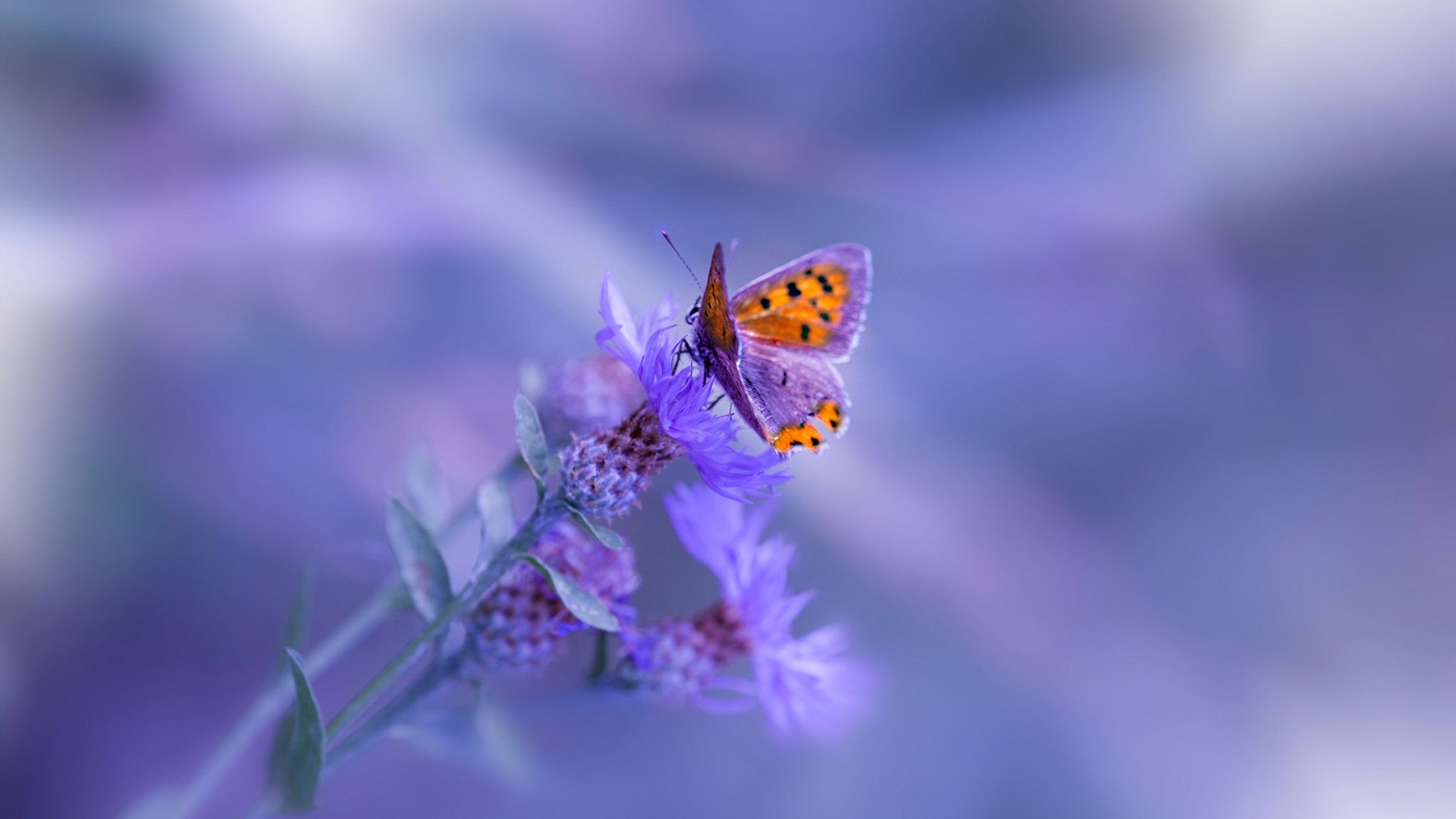 乒乓2024：混合团体世界杯赛制全面革新，今年乒乓球世界杯团体赛竞赛规则