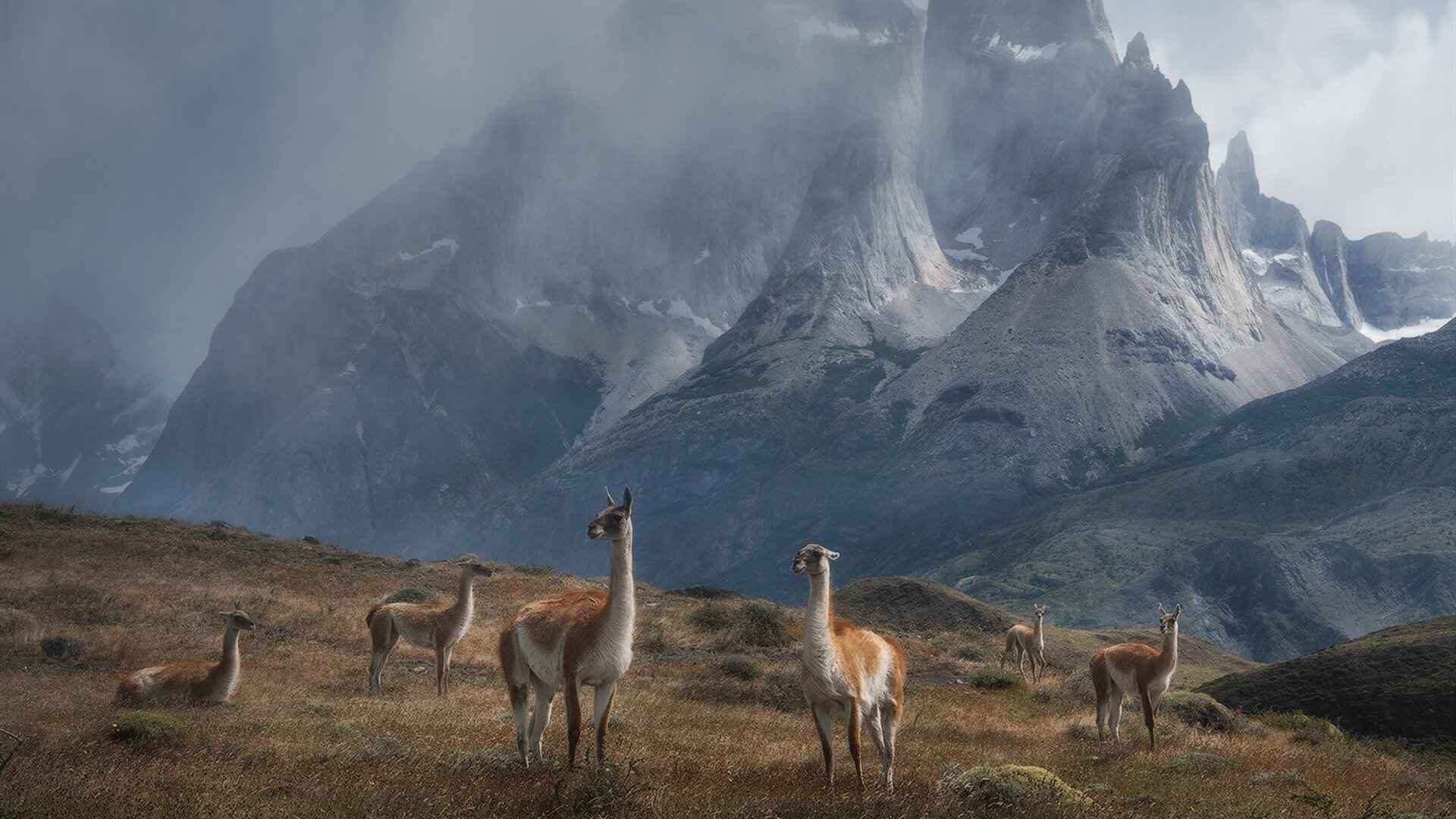 加拿大乒乓队未来方向:如何实现技术突破,提升整体实力,加拿大乒乓球国家队
