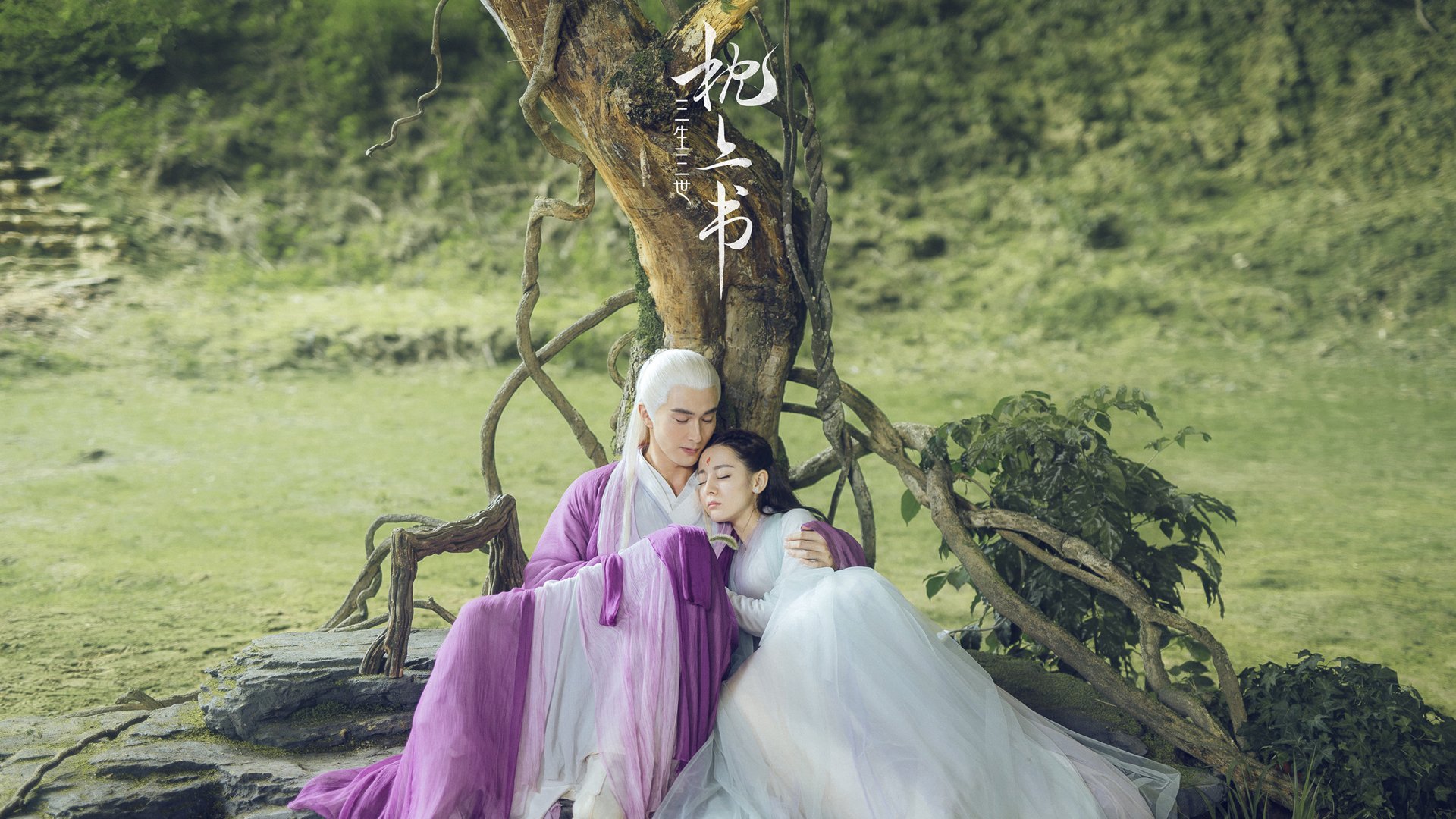 米兰登录入口-女子仰泳新秀异军突起，女子仰泳运动员