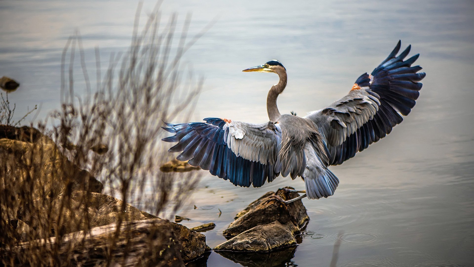 米兰登录入口-球员伤病康复管理体系不健全，球员伤病对球员的影响