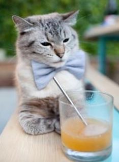 米兰体育-队伍仍需提升三分与罚球命中率，如何提升罚球命中率