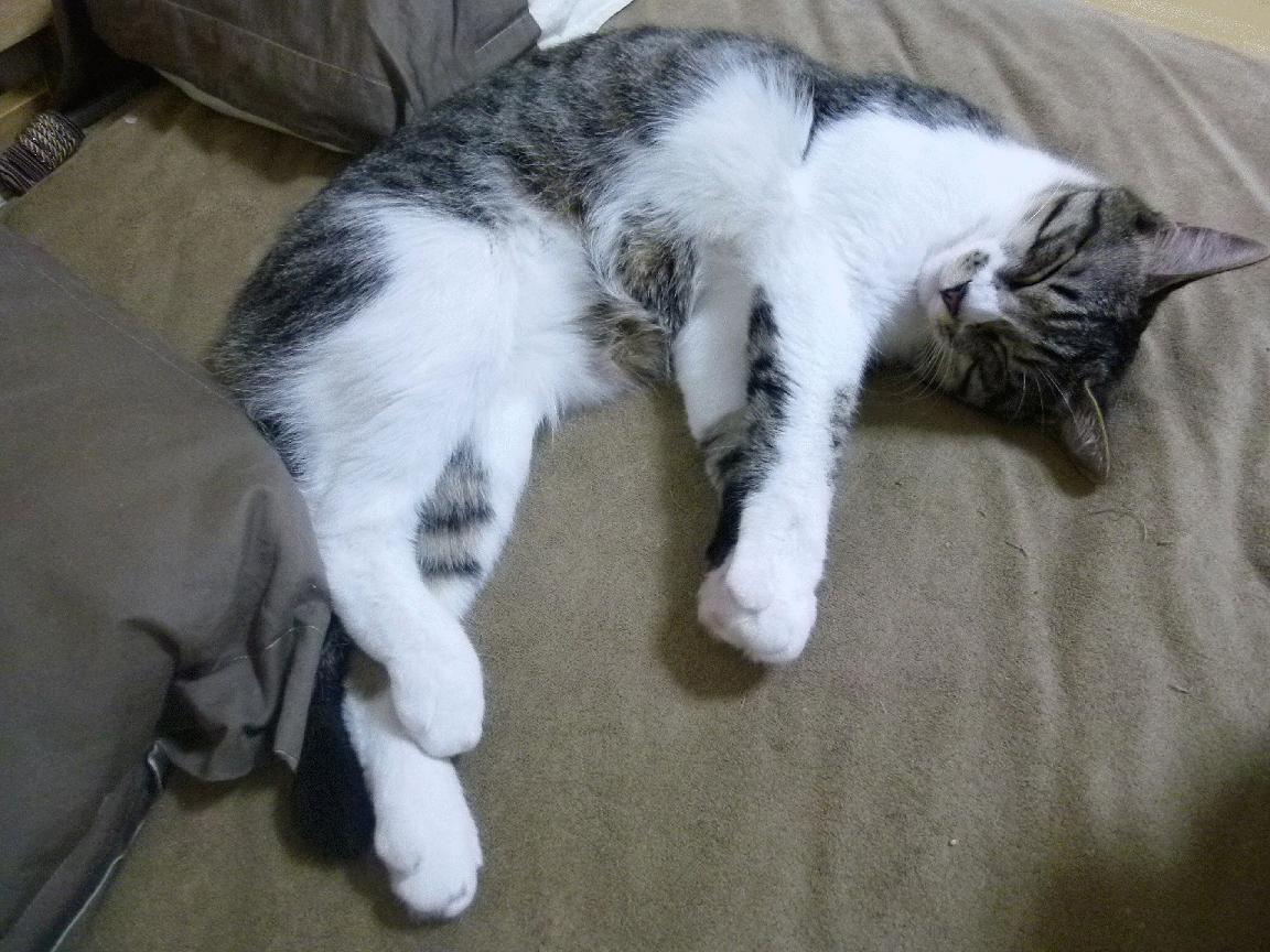 青训球员技术能力考核缺乏数据支持,青训球员技术能力考核缺乏数据支持的原因