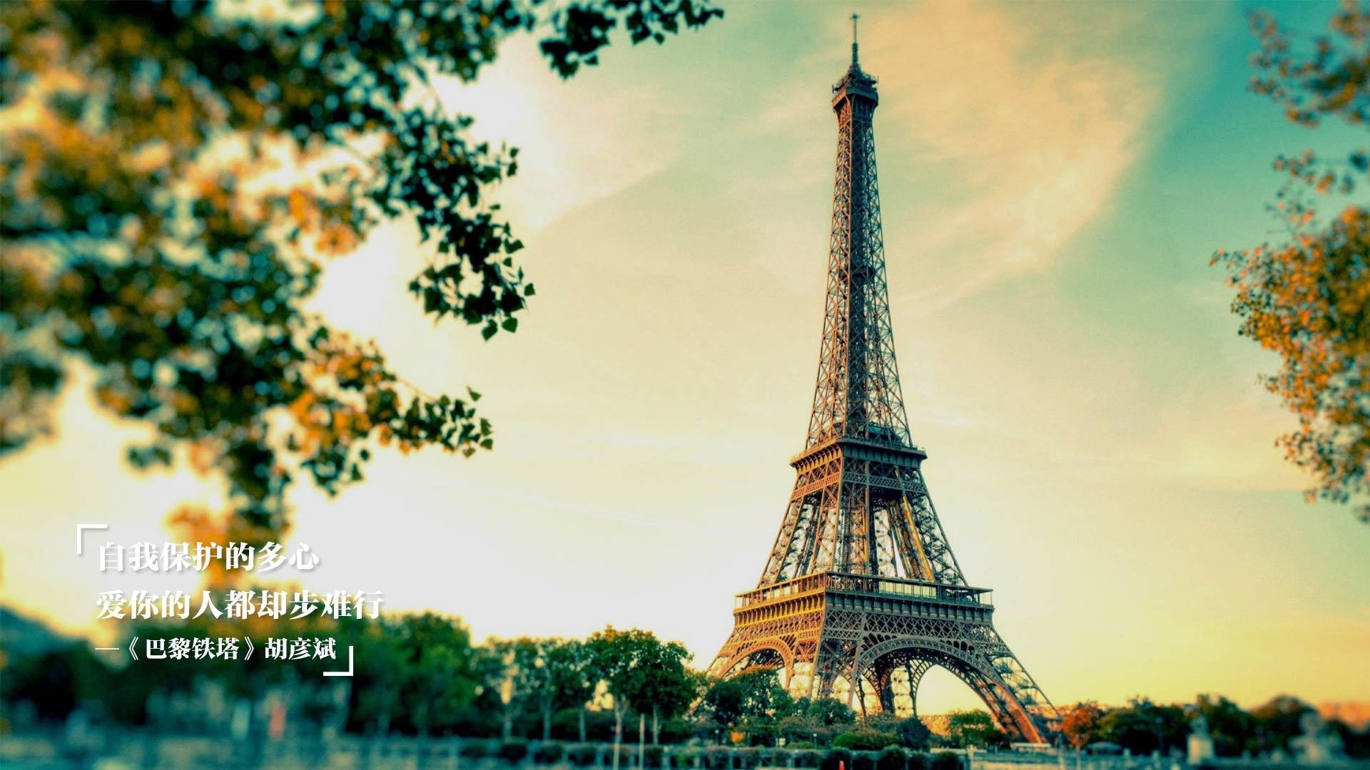 世界杯球员心理辅导案例分享