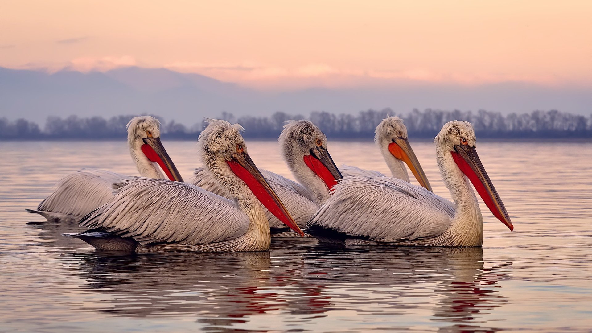 -新一代控球后卫展现成熟意识赢得教练团队高度认可，控球后卫的代表人物