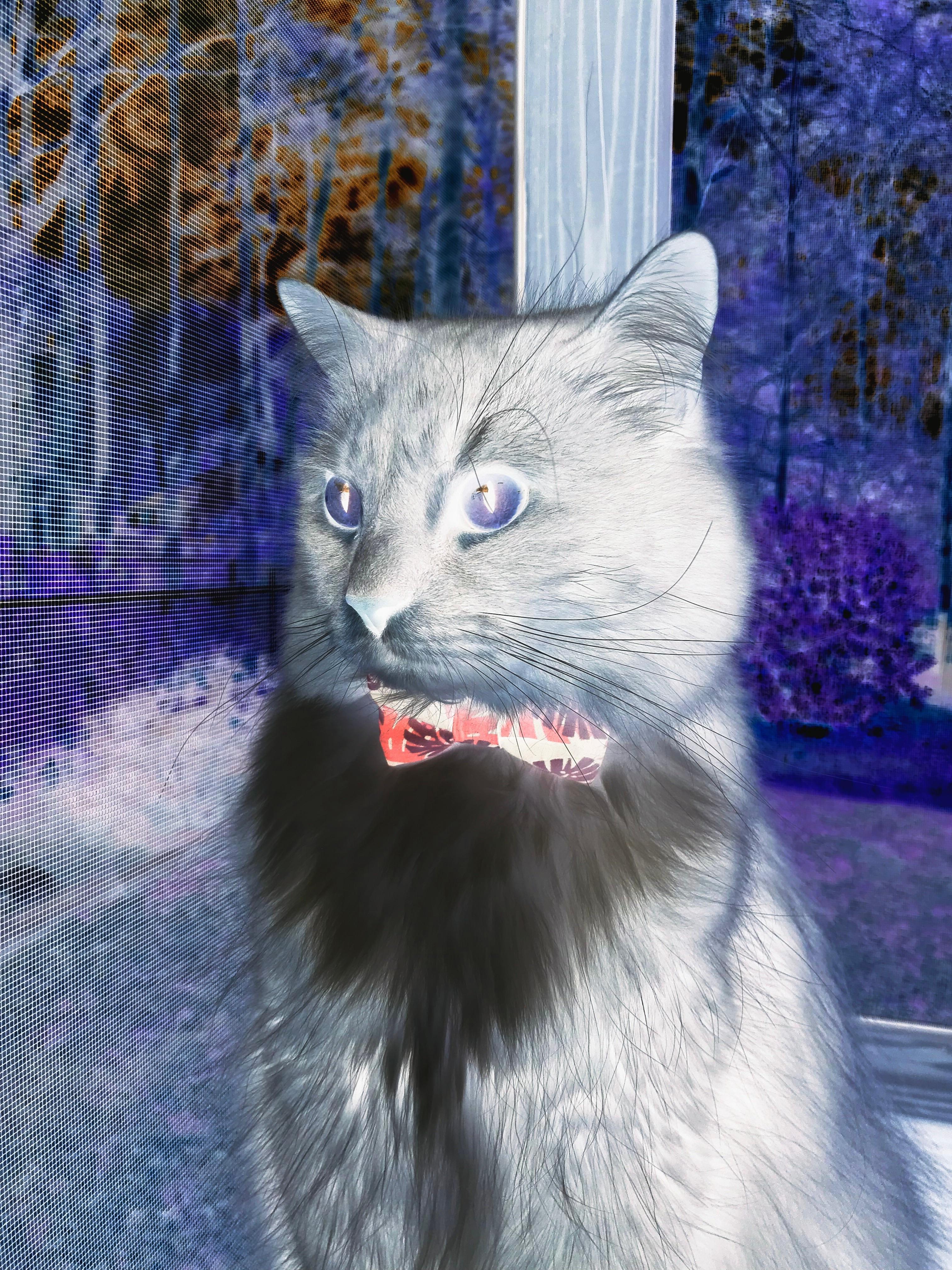 杨瀚森入选NBA首轮刷新中国男篮球员选秀历史新纪录，nba中国男篮球员名单